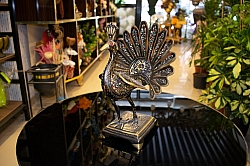 BİZDEN GÖRÜNTÜLER