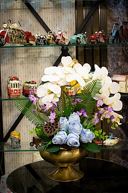 BİZDEN GÖRÜNTÜLER