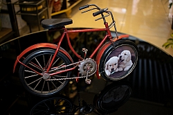 BİZDEN GÖRÜNTÜLER