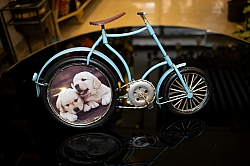 BİZDEN GÖRÜNTÜLER