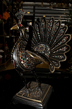 BİZDEN GÖRÜNTÜLER