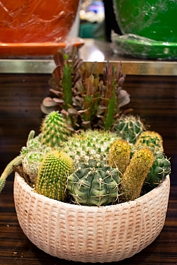 BİZDEN GÖRÜNTÜLER