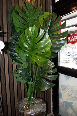 BİZDEN GÖRÜNTÜLER