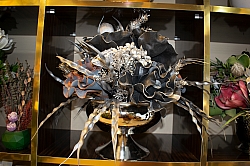 BİZDEN GÖRÜNTÜLER