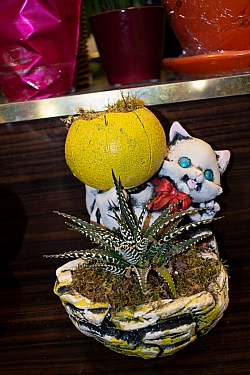 BİZDEN GÖRÜNTÜLER