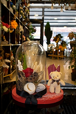 BİZDEN GÖRÜNTÜLER