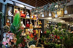 BİZDEN GÖRÜNTÜLER