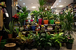 BİZDEN GÖRÜNTÜLER