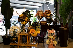 BİZDEN GÖRÜNTÜLER