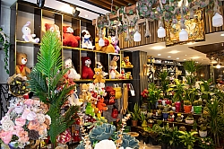 BİZDEN GÖRÜNTÜLER