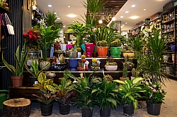 BİZDEN GÖRÜNTÜLER