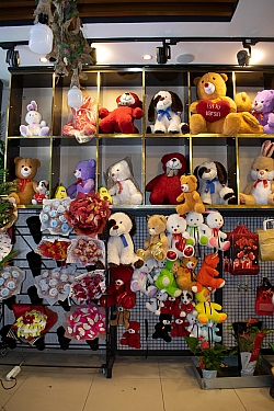 BİZDEN GÖRÜNTÜLER