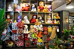 BİZDEN GÖRÜNTÜLER