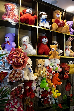 BİZDEN GÖRÜNTÜLER