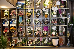 BİZDEN GÖRÜNTÜLER