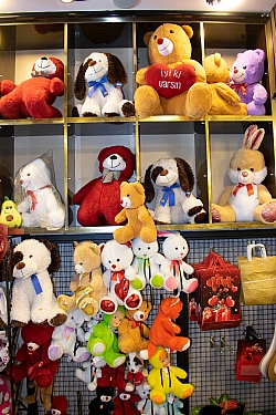 BİZDEN GÖRÜNTÜLER