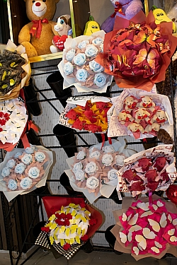 BİZDEN GÖRÜNTÜLER