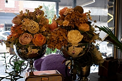 BİZDEN GÖRÜNTÜLER