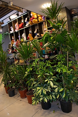 BİZDEN GÖRÜNTÜLER