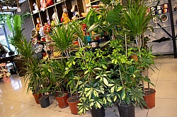 BİZDEN GÖRÜNTÜLER