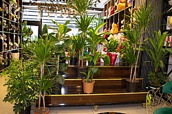 BİZDEN GÖRÜNTÜLER