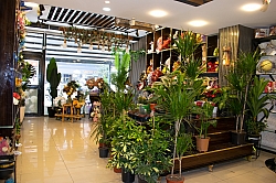 BİZDEN GÖRÜNTÜLER