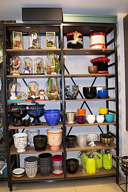 BİZDEN GÖRÜNTÜLER