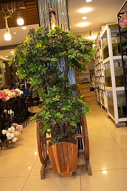 BİZDEN GÖRÜNTÜLER