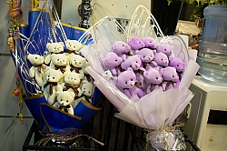 BİZDEN GÖRÜNTÜLER