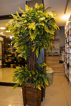 BİZDEN GÖRÜNTÜLER