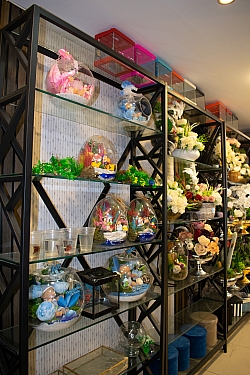 BİZDEN GÖRÜNTÜLER