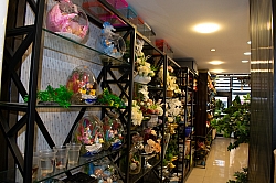 BİZDEN GÖRÜNTÜLER