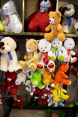 BİZDEN GÖRÜNTÜLER