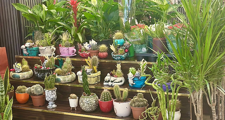 Karaköprü en uygun fiyatlı çiçekçi