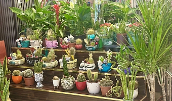 Karaköprü en uygun fiyatlı çiçekçi